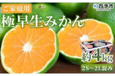 ＜極早生みかん ご家庭用 約4kg＞ ご家庭用 果物 フルーツ みかん ミカン 蜜柑 オレンジ 柑橘 食べて応援 特産品 宇都宮物産 愛媛県 西予市【常温】