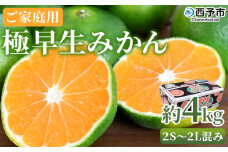 ＜極早生みかん ご家庭用 約4kg＞ ご家庭用 果物 フルーツ みかん ミカン 蜜柑 オレンジ 柑橘 食べて応援 特産品 宇都宮物産 愛媛県 西予市【常温】