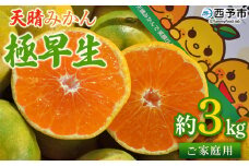 ＜天晴みかん 極早生 家庭用 約3kg＞ 温州ミカン 柑橘 果物 くだもの フルーツ 蜜柑 訳あり ワケアリ 自宅用 期間限定 季節限定 食べて応援 特産品 産地直送 愛媛県 西予市【常温】