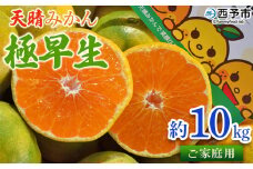 ＜天晴みかん 極早生 家庭用 約10kg＞ 温州 柑橘 果物 くだもの フルーツ ミカン 蜜柑 訳あり ワケアリ 自宅用 期間限定 季節限定 食べて応援 特産品 産地直送 愛媛県 西予市【常温】