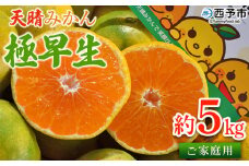 ＜天晴みかん 極早生 家庭用 約5kg＞ 温州ミカン 柑橘 果物 くだもの フルーツ 蜜柑 訳あり ワケアリ 自宅用 期間限定 季節限定 食べて応援 特産品 産地直送 愛媛県 西予市【常温】