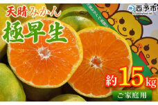 ＜天晴みかん 極早生 ご家庭用 約15kg＞ 柑橘 果物 フルーツ オレンジ 期間限定 季節限定 食べて応援 特産品 温州みかん 家庭用 のし対応可 ジャム サラダ 愛媛県 西予市【常温】