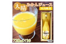 愛媛県明浜産 天晴みかんジュース（河内晩柑）　１本