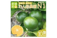 極早生の中でも早い！でん助農園の家庭用極早生温州みかん　エヌワン10キロ