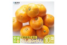 でん助農園の温州みかん（早生）　ご家庭用　10kg