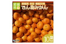 でん助農園の温州みかん（中生・南柑20号）　ご家庭用　10kg　