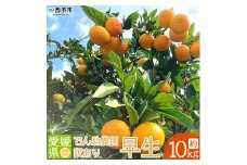 でん助農園の温州みかん（早生）　訳あり　10kg