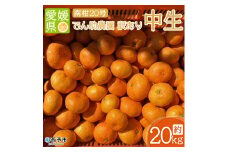 でん助農園の温州みかん（中生・南柑20号）　訳あり　20kg