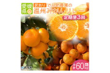 でん助農園の温州みかんリレー　訳あり　３回定期便（極早生・早生・中生）