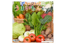 せいよのうまいもんセット（５～７品目）