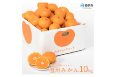 おれんじはーと　温州みかん10kg　【１１月配送】