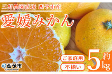 ＜愛媛みかん 家庭用（不揃い）約5kg＞ 果物 フルーツ 温州みかん うんしゅうみかん ウンシュウミカン みかん ミカン 蜜柑 オレンジ 柑橘 自宅用 訳あり 産地直送 三好農園 西宇和 愛媛県 西予市【常温】
