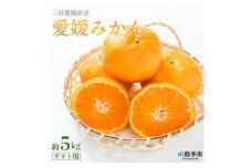 三好農園直送　西予市産　愛媛みかん　５kg　ギフト用(L～Mサイズ)