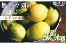 ＜無茶々園のレモン 約3kg＋レモンの本＞ フルーツ 果物 くだもの れもん 檸檬 柑橘 香酸柑橘 国産 無茶々園 特産品 愛媛県 西予市【常温】