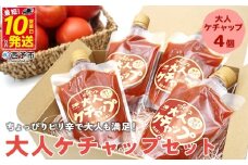 ＜ちょっぴりピリ辛で大人も満足！大人ケチャップ 4個セット＞ とまと 野菜 完熟 柚子胡椒 こしょう 調味料 辛口 パスタソース チリソース ギフト 贈り物 食べて応援 国産 特産品 遊子川ザ・リコピンズ 愛媛県 西予市【常温】『最短10営業日以内に発送予定』