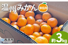 ＜温州みかん ご家庭用 約3kg＞ 訳あり わけあり 自宅用 果物 フルーツ みかん ミカン 蜜柑 オレンジ 柑橘 うんしゅう ウンシュウ 食べて応援 特産品 柑橘園柴田 愛媛県 西予市【常温】