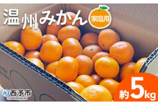 ＜温州みかん ご家庭用 約5kg＞ 訳あり わけあり 自宅用 果物 フルーツ みかん ミカン 蜜柑 オレンジ 柑橘 うんしゅう ウンシュウ 食べて応援 特産品 柑橘園柴田 愛媛県 西予市【常温】