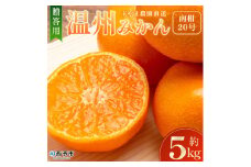 ＜玉やま農園直送 温州みかん 南柑20号 約5kg 贈答用＞ 数量限定 5キロ ミカン なんかん 蜜柑 柑橘 フルーツ 果物 果実 くだもの 特産品 甘い ジューシー 旬 ギフト 愛媛県 西予市【常温】