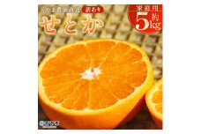 ＜【訳あり】 玉やま農園直送 せとか 家庭用 約5kg ＞ 数量限定 期間限定 5キロ みかん ミカン 蜜柑 柑橘類 フルーツ 果物 果実 くだもの 特産品 甘い ジューシー 旬 ご自宅用 訳アリ 愛媛県 西予市 【常温】