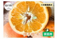 三好農園直送　愛媛県西予市産 「伊予柑」家庭用 ～甘味と酸味の爽やかなバランス～ 約４kg