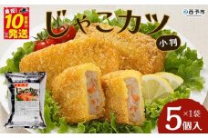 おがた蒲鉾　じゃこカツ小判（未加熱）5個入り