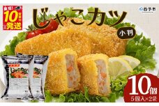 おがた蒲鉾　じゃこカツ小判（未加熱）5個入り×2袋