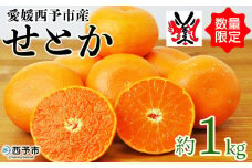 先行予約 数量限定＜愛媛西予市産 せとか 約1kg＞ 果物 くだもの フルーツ 柑橘類 ミカン みかん 甘い 特産品 糖度 家庭用 自宅用 産地直送 渡江から一歩を踏み出す会 食べて応援 愛媛県 西予市 【常温】