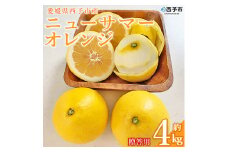 三好農園直送　愛媛県西予市産「ニューサマーオレンジ」贈答用 ～初夏を感じる爽やか柑橘～ 