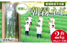 ＜愛媛県西予市産 朝霧ネギ 約2kg（80g入り×25袋）＞ 根無し 西予市産 愛媛県産 国産 野菜 やさい 青葱 青ネギ 青ねぎ 葉ネギ 葱 ねぎ 特産品 株式会社ノムランド 愛媛県 西予市【冷蔵】『1か月以内に順次出荷予定』