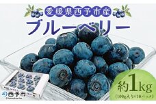 ＜愛媛県西予市産 ブルーベリー 約1kg（100g入り×10パック）＞ ぶるーべりー 果実 果物 生 くだもの フルーツ 国産 小分け ジャム スムージー 株式会社フジ・アグリフーズ 愛媛県 西予市【冷蔵】『7月～8月末迄に順次出荷予定』