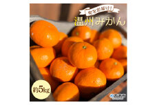 ＜旬をお届け！温州みかん 約5kg＞ 数量限定 ミカン 蜜柑 果物 柑橘類 果実 オレンジ フルーツ 早生 20号 手軽 特産品 国産 明浜産 二ノ宮商事株式会社 愛媛県 西予市【常温】