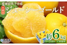 ＜木成り ジューシーゴールド（河内晩柑）ご家庭用 約6kg（S～2L混合）＞ 訳あり 果物 フルーツ かわちばんかん みかん オレンジ 柑橘 食べて応援 特産品 宇都宮物産 愛媛県 西予市 【常温】