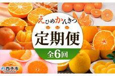 ＜2025年11月発送開始 えひめかんきつ定期便 全6回＞ 果物 フルーツ みかん ミカン 蜜柑 日の丸みかん 紅まどんな 伊予柑 いよかん デコポン せとか 河内晩柑 かわちばんかん 愛媛県観光物産協会 愛媛県 西予市【常温】