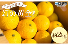 ＜旬をお届け！幻の黄金柑 約2kg＞ みかん ミカン 蜜柑 果物 柑橘類 果実 オレンジ フルーツ おうごんかん 黄蜜柑 25個前後 特産品 国産 明浜産 二ノ宮商事株式会社 愛媛県 西予市【常温】