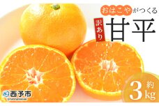 ＜訳あり おはこやがつくる 甘平 約3kg＞ ワケアリ 家庭用 果物 くだもの 果実 フルーツ 柑橘類 かんぺい カンペイ みかん ミカン 蜜柑 特産品 西宇和 愛媛県 西予市 【常温】