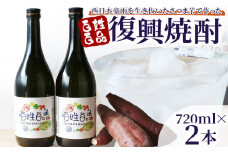 ＜百姓百品復興焼酎 720ml×2本セット＞ 選べる本数 西予市産 愛媛県産 国産 さつま芋 さつまいも サツマイモ 芋焼酎 アルコール 25度 お酒 酒 晩酌 宅飲み 百姓百品株式会社 愛媛県 西予市【常温】『1か月以内に順次出荷予定』