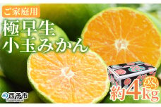 ＜極早生小玉みかん ご家庭用 約4kg＞ ご家庭用 果物 フルーツ みかん ミカン 蜜柑 オレンジ 柑橘 食べて応援 特産品 宇都宮物産 愛媛県 西予市【常温】