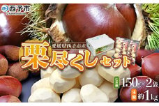 ＜栗尽くしセット（むき栗150g×2袋・生栗1kg）愛媛県西予市産＞ くり 生栗 剥き栗 フルーツ マロン モンブラン 家庭用 栗ご飯 栗きんとん 栗の甘露煮 秋の味覚 特産品 国産 宇都宮物産 愛媛県 西予市【冷蔵】『2025年9月中旬～10月下旬迄に順次出荷予定』