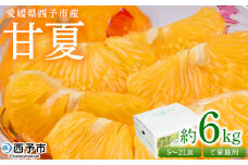 ＜愛媛県西予市産 甘夏 ご家庭用 約6kg＞ 訳あり S～2Lサイズ混合 果物 くだもの フルーツ みかん ミカン 蜜柑 あまなつ オレンジ 柑橘 不揃い 食べて応援 特産品 宇都宮物産 愛媛県 西予市【常温】『2026年3月中旬～5月中旬迄に順次出荷予定』