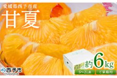 ＜愛媛県西予市産 甘夏 ご家庭用 約6kg＞ 訳あり S～2Lサイズ混合 果物 くだもの フルーツ みかん ミカン 蜜柑 あまなつ オレンジ 柑橘 不揃い 食べて応援 特産品 宇都宮物産 愛媛県 西予市【常温】『2026年3月中旬～5月中旬迄に順次出荷予定』