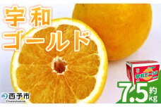 ＜宇和ゴールド 約7.5kg＞ 果物 フルーツ みかん ミカン 蜜柑 オレンジ 柑橘 河内晩柑 かわちばんかん うわごーるど ウワゴールド 愛南ゴールド 美生柑 食べて応援 特産品 JA えひめ南農業協同組合 愛媛県 西予市【常温】
