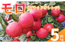 ＜モロ（ブラッドオレンジ）約5kg＞ 果物 フルーツ みかん ミカン 蜜柑 オレンジ 柑橘 もろ ぶらっどおれんじ 食べて応援 特産品 JA えひめ南農業協同組合 愛媛県 西予市 【常温】