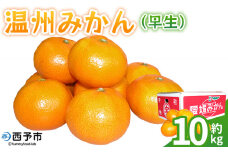 ＜温州みかん（早生）約10kg＞ 果物 フルーツ みかん ミカン 蜜柑 オレンジ 柑橘 うんしゅうみかん ウンシュウミカン わせ ワセ 食べて応援 特産品 JA えひめ南農業協同組合 愛媛県 西予市【常温】