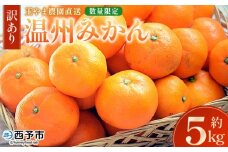 ＜【訳あり】温州みかん 約5kg 数量限定 産地直送＞ ワケアリ 家庭用 みかん ミカン うんしゅうみかん ウンシュウ 蜜柑 柑橘 フルーツ 果物 果実 くだもの 特産品 旬 玉やま農園 愛媛県 西予市【常温】『2025年11月中旬～12月迄に順次出荷予定』