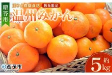 ＜温州みかん 約5kg 数量限定 産地直送 贈答品＞ 5キロ みかん ミカン うんしゅうみかん ウンシュウミカン 蜜柑 柑橘 フルーツ 果物 果実 くだもの 特産品 旬 玉やま農園 愛媛県 西予市【常温】『2025年11月中旬～12月迄に順次出荷予定』