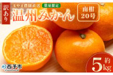 ＜【訳あり】温州みかん（南柑20号）約5kg 数量限定 産地直送＞ ワケアリ 家庭用 みかん ミカン うんしゅうみかん ウンシュウ なんかん 蜜柑 柑橘 フルーツ 果物 果実 くだもの 特産品 旬 玉やま農園 愛媛県 西予市【常温】