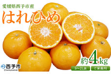 ＜愛媛県西予市産 はれひめ ご家庭用 約4kg＞ 訳あり ワケアリ 不揃い 果物 くだもの フルーツ みかん ミカン 蜜柑 柑橘 オレンジ おれんじ ハレヒメ 食べて応援 特産品 宇都宮物産 愛媛県 西予市【常温】『2026年1月上旬〜2月上旬迄に順次出荷予定』
