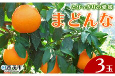 紅まどんなと同品種！＜とびっきりの愛媛 まどんな（3玉）＞マドンナ 愛媛果試第28号 果物 柑橘 フルーツ 期間 旬 季節限定 特産品 産地直送 片山果樹園 西宇和 愛媛県 西予市【常温】『2025年12月中旬～12月下旬迄に順次出荷予定』