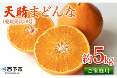 紅まどんなと同品種！＜天晴まどんな（愛媛果試28号）ご家庭用 約5kg＞ マドンナ 訳あり 果物 くだもの フルーツ みかん ミカン 柑橘 天晴農園 あっぱれのうえん 特産品 愛媛県 西予市【常温】