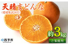紅まどんなと同品種！＜天晴まどんな（愛媛果試28号）ご家庭用 約3kg＞ マドンナ 訳あり 果物 くだもの フルーツ みかん ミカン 柑橘 天晴農園 あっぱれのうえん 特産品 愛媛県 西予市【常温】